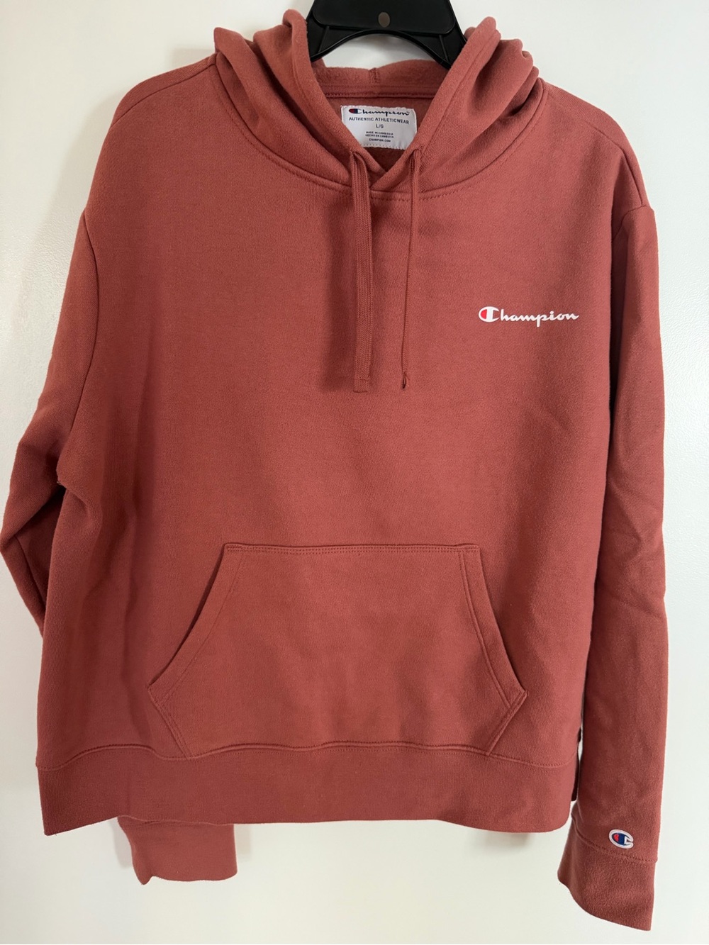 Champion Hoodie in Dusty Rose with Small Script Logo